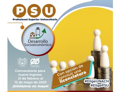 Convocatoria PSU (Profesional Superior Universitario)